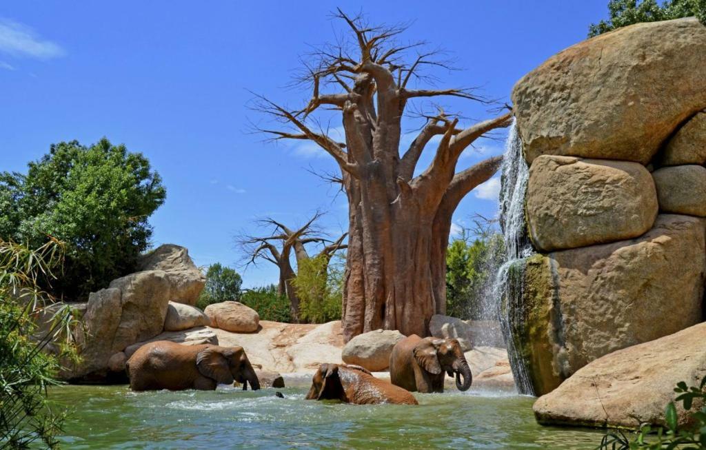 Bioparc Metro Valencia Lägenhet Exteriör bild